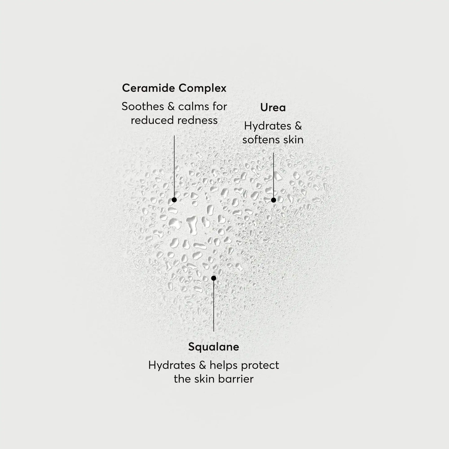 barrier-bounce-bi-phase-mist-x8 NATR-10167-Alt-Images-Barrier-Bounce-Bi-Phase-Toner-Mist_01.webp