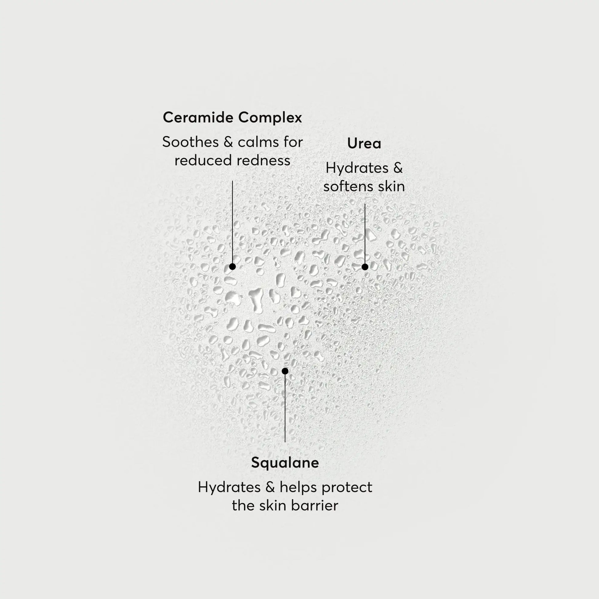 barrier-bounce-bi-phase-mist-x8 NATR-10167-Alt-Images-Barrier-Bounce-Bi-Phase-Toner-Mist_01.webp