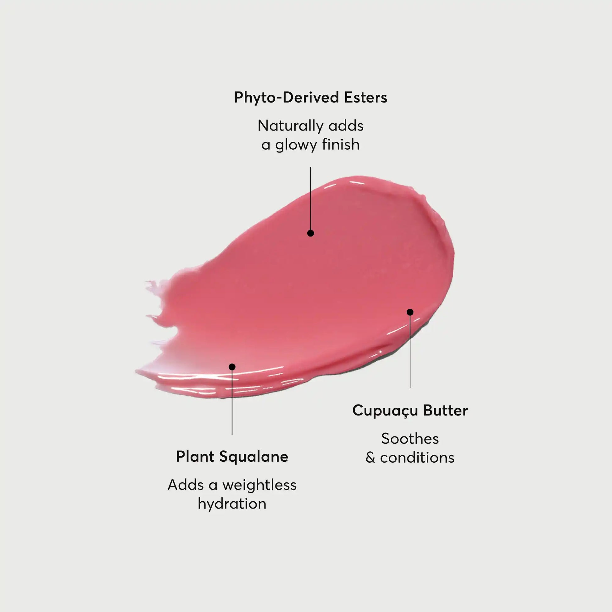 phyto-glow-lip-balm-petal-m4 NATR-60067-Alt-Images-Phyto-Glow-Lip-Balm-Petal-01.webp